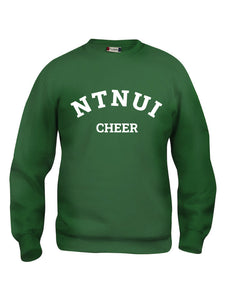 NTNUI Cheer College