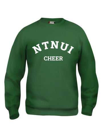 NTNUI Cheer College